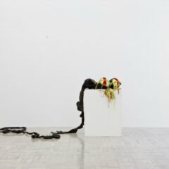 Exhibition by Nicholas Hlobo