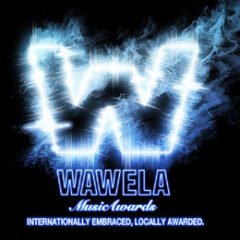 WINNERS: Wawela Music Awards 2013!